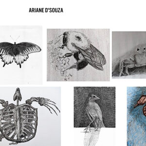 Ariane D'Souza, Fine Art