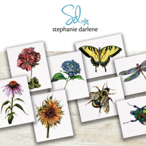 Stephanie Darlene, Drawing